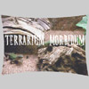 Terrarium Morbidum, Captive Bred European Herptiles